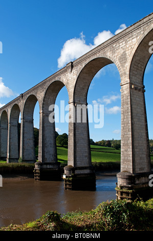 Calstock Viadukt über den Fluss Devon Cornwall mit Tamar Stockfoto