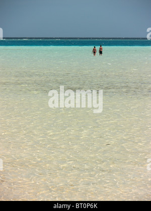 Paare, die im seichten Wasser, Malediven Chaaya Lagoon Stockfoto