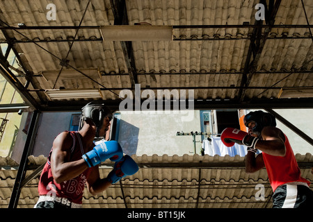 Junge kubanische Kämpfer während eines Trainings entsprechen bei Rafael Trejo Boxing Gym in Havanna, Kuba. Stockfoto