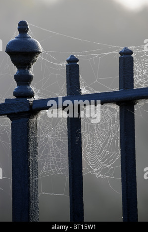 Spinnweben glitzern in den frühen Morgennebel auf die Ironbridge in Shropshire Stockfoto