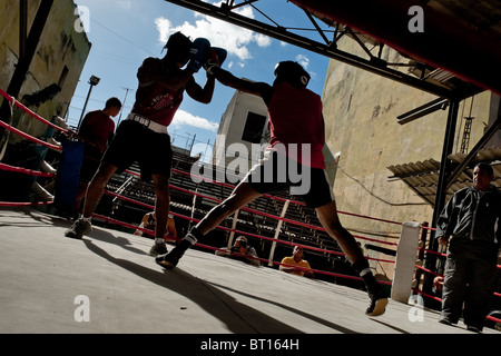 Kubanische Kämpfer während einer Trainingseinheit bei Rafael Trejo Boxing Gym in Havanna, Kuba. Stockfoto