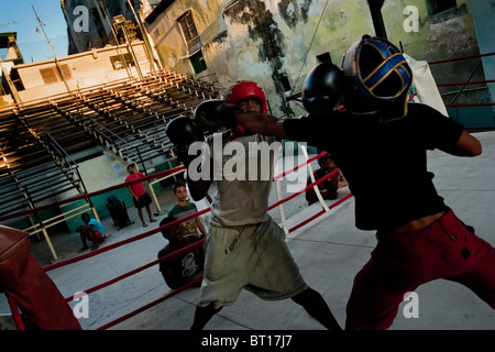 Junge kubanische Kämpfer während eines Trainings entsprechen bei Rafael Trejo Boxing Gym in Havanna, Kuba. Stockfoto