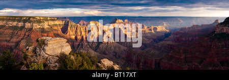 Sonnenuntergang am Bright Angel Point, Panorama, Grand Canyon North Rim, Arizona, USA Stockfoto