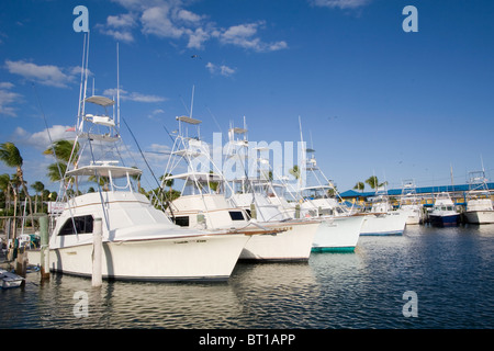 Sportfischen Boote Whale Harbor, Islamorada, Florida Keys, Florida Stockfoto