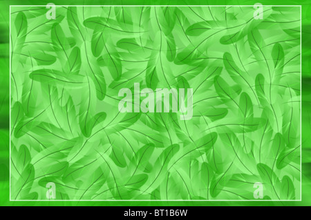 Die Grunge abstrakt Grün Federn Illustration Hintergrund Stockfoto