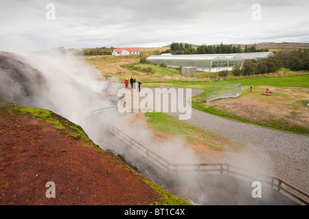 Deildartunguhver, Europas größte Therme in der Nähe von Kleppjarnsreykir in Island. Stockfoto