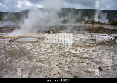 Heiße Quellen und Dampfdüsen an Norris Geyser Basin, Yellowstone-Nationalpark, USA Stockfoto