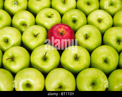 roter Apfel stehend aus Haufen von grünen Äpfeln Stockfoto