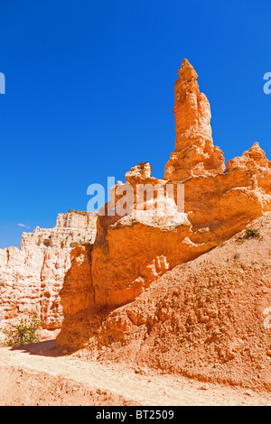 Felsformationen im Bryce Canyon Stockfoto