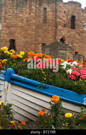 Blumen in einem Boot mit den Ruinen der Tynemouth Priory in Hintergrund, Tynemouth, Tyne and Wear, England, Großbritannien. Stockfoto