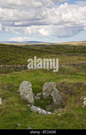 Die Höhlen von Kilhern neolithische Grabstätte, Southern Upland Way nr neue Luce, Dumfries & Galloway, Schottland. Stockfoto