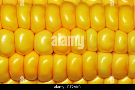 Maiskörner schließen Makroaufnahme Stockfoto