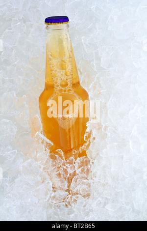 Bierflasche auf Eis frisch Milchglas Transparenz Stockfoto