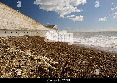 Wellen auf Undercliff gehen Wehrmauer in der Nähe von Brighton Stockfoto