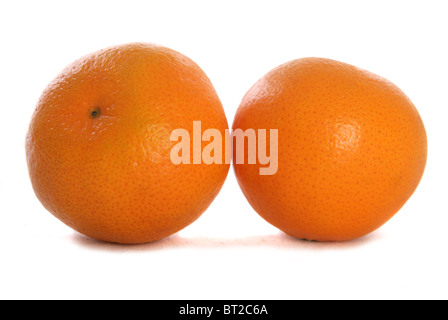 Zwei Orangen Mandarinen Studio Ausschnitt Stockfoto