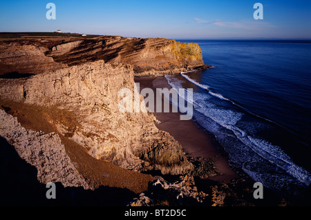 Karbon Kalksteinfelsen an der Mewslade Bucht in der Nähe von Pitton auf der Halbinsel Gower, Swansea, Südwales. Stockfoto