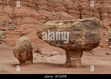 Ausgewogene Rock, Vermillion Cliffs, Marble Canyon, Arizona, USA Stockfoto