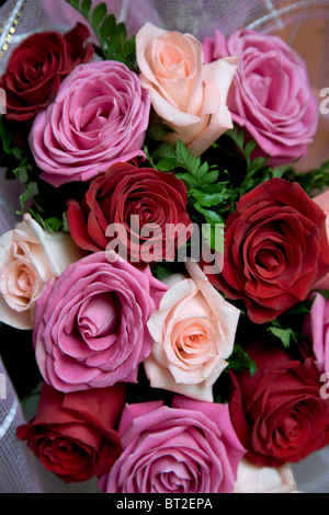 Rot, rosa und lila Rosenstrauss Stockfoto