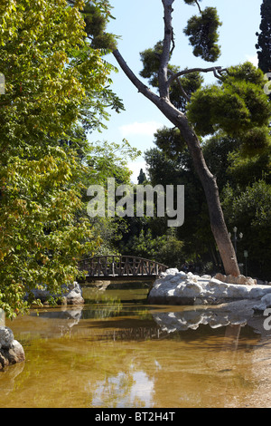 Teich in nationale Gärten Athen Stockfoto