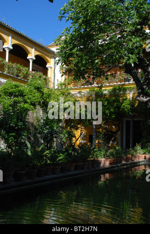 Pool im Garten, die Casa de Pilatos, Sevilla, Provinz Sevilla, Andalusien, Südspanien, Westeuropa. Stockfoto