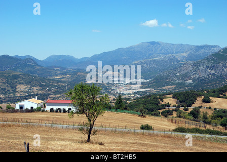 Landschaft mit der Stadt in der Ferne, Ubrique, Provinz Cadiz, Andalusien, Spanien, Westeuropa. Stockfoto