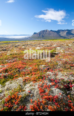 Der Skeidararjokull Gletscher absteigend von der Vatnajökull-Eiskappe in Icleand Stockfoto