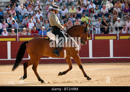 Concurso Doma Feria Fuengirola Malaga Costa del Sol Andalusien España Dressur Wettbewerb Fair Fuengirola Andalusien Spanien Stockfoto
