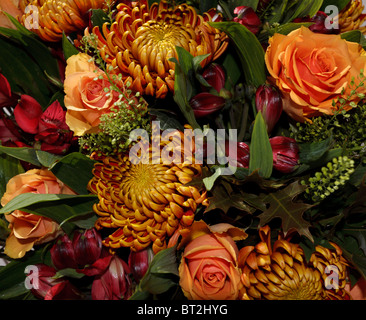 orange Blumen im Herbst Licht Stockfoto