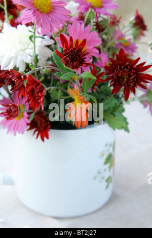 Wilde Blumen in einer Vase auf einem Holztisch Stockfoto