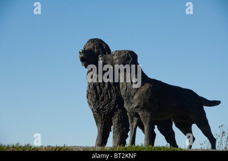 Kanada, Neufundland und Labrador, St. John. Statuen von Neufundland & Labrador Hunde, berühmter Hund Rassen stammt aus der Gegend. Stockfoto