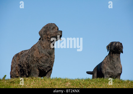 Kanada, Neufundland und Labrador, St. John. Statuen von Neufundland & Labrador Hunde, berühmter Hund Rassen stammt aus der Gegend. Stockfoto