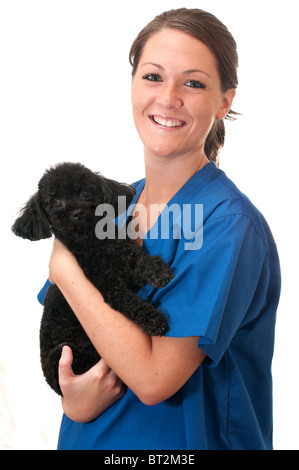 Tierarzthelferin Holding Haustier Pudel isoliert auf weißem Hintergrund. Stockfoto