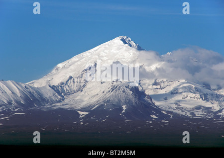 Close-up Mount Drum Wrangell-St. Elias Nationalpark Alaska USA Stockfoto