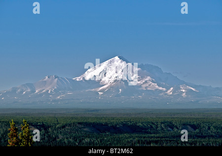 Mount Drum Wrangell-St. Elias Nationalpark Alaska USA Stockfoto