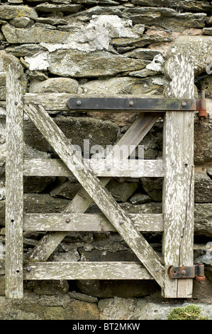 Altes Holztor geschlossen gegen Steinmauer Stockfoto