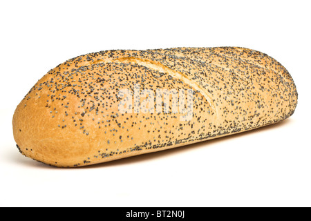 Mohn ausgesät Bloomer frischen Laib Brot isolierten auf weißen Hintergrund. Stockfoto