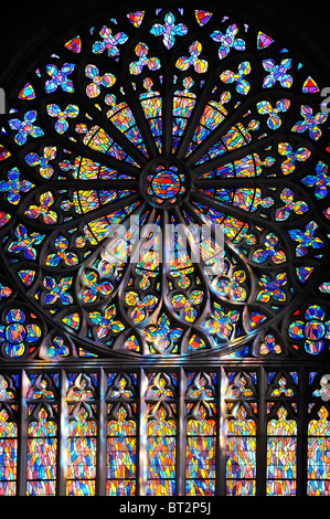Rose Glasfenster in der Kathedrale von Saint-Malo / Cathédrale Saint-Vincent-de-Saragosse de Saint-Malo, Bretagne, Frankreich Stockfoto