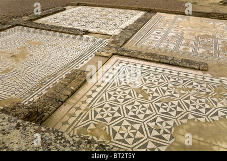 Mosaik Boden in dem Haus Casa de Neptuno / Neptuns Villa / Haus in römischen Stadt Italica / Italica in der Nähe von Sevilla, Spanien. Stockfoto