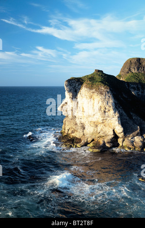 Die Giants Head Kalksteinklippe ist ein Wahrzeichen bei den White Rocks bei Portrush, Nordirland Stockfoto