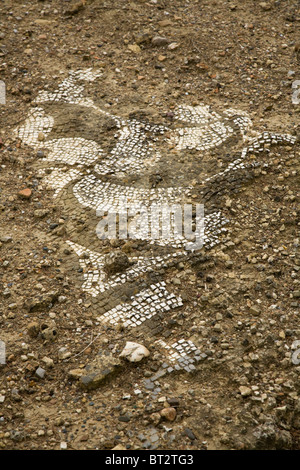 Bröckelt Mosaikboden in einer Villa / Haus in der römischen Stadt Italica / Italica in der Nähe von Sevilla, Spanien. Stockfoto