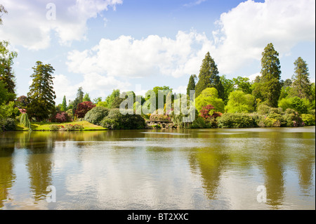 Sheffield Park Gardens in East Sussex Stockfoto