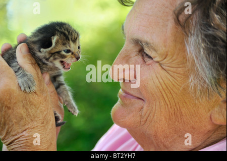 Ältere Frau Holding Kätzchen – im freien Stockfoto