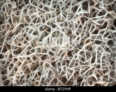 Grunge rostigen abstrakten Hintergrund von Fraktal-chaos Stockfoto