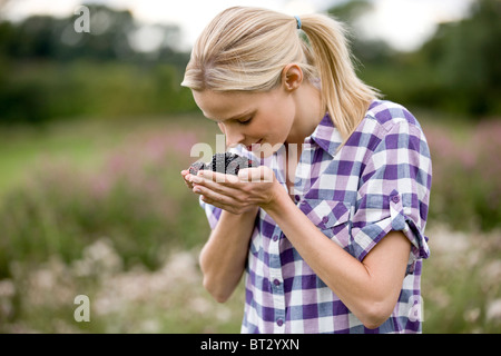 Eine Frau hält frisch gepflückt Brombeeren, im freien Stockfoto