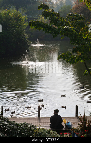 Ein Autumnn Morgen in der Dingle, Quarry Park, Shrewsbury. Stockfoto