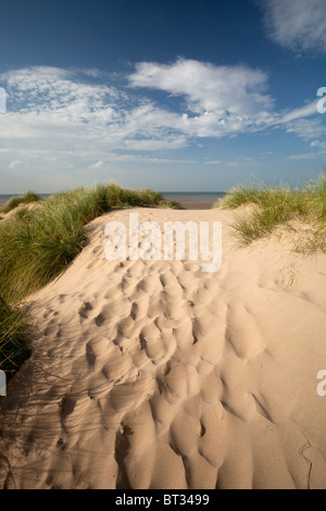 Die Sanddünen der Sefton Coast in Merseyside, England. Der Sefton Coast Dünen in North West England, die sich nördlich von Liverpool City entfernt. Stockfoto