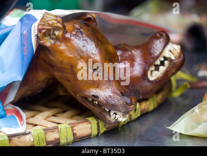 Roast Dog im Verkauf in Hanoi Vietnam - ein Beispiel für das seltsame oder seltsame Essen, das von Menschen auf der ganzen Welt gegessen wird Stockfoto