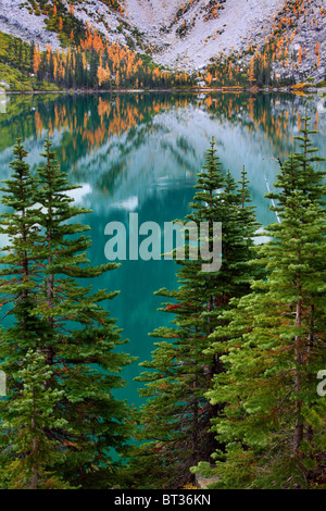 Lärchen und Tannen am Colchuck See in der Alpenseen Wildnis des Staates Washington Stockfoto