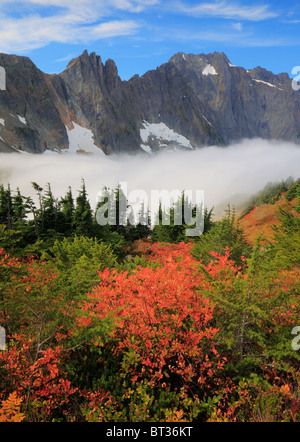 Cascade Pass Gebirgspass über der nördlichen Cascade Range, im North Cascades National Park im Bundesstaat Washington, USA Stockfoto