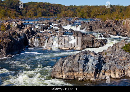 Potomac River Nationalpark Great Falls, Virginia Stockfoto